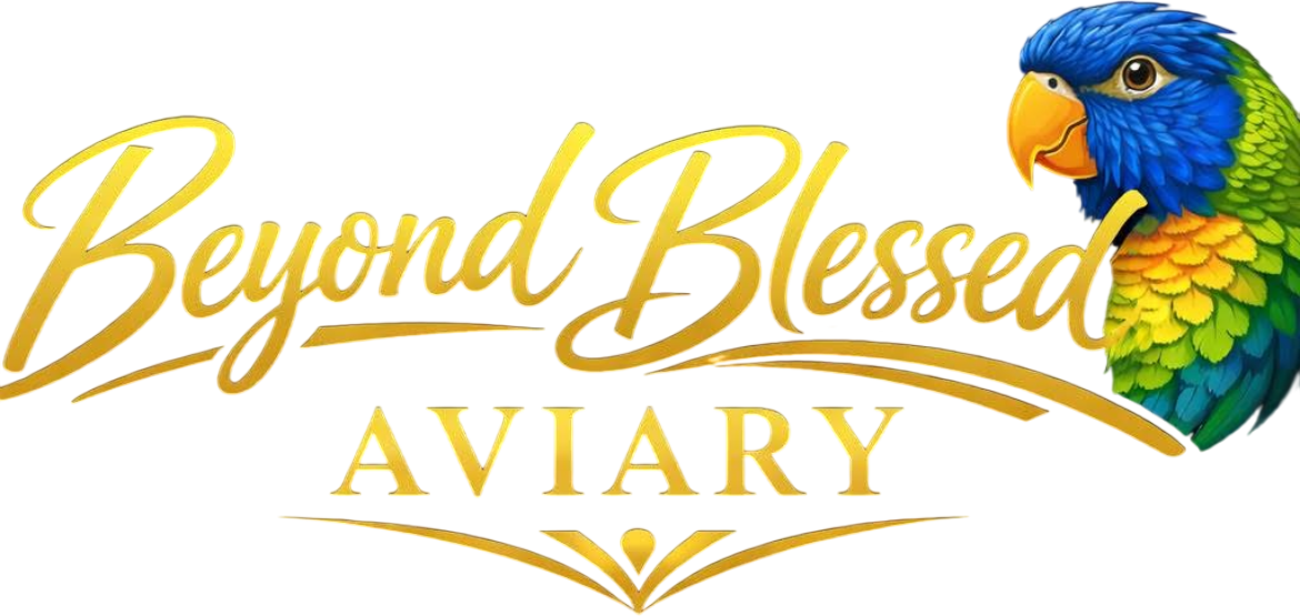 Beyond Blessed Aviary logo